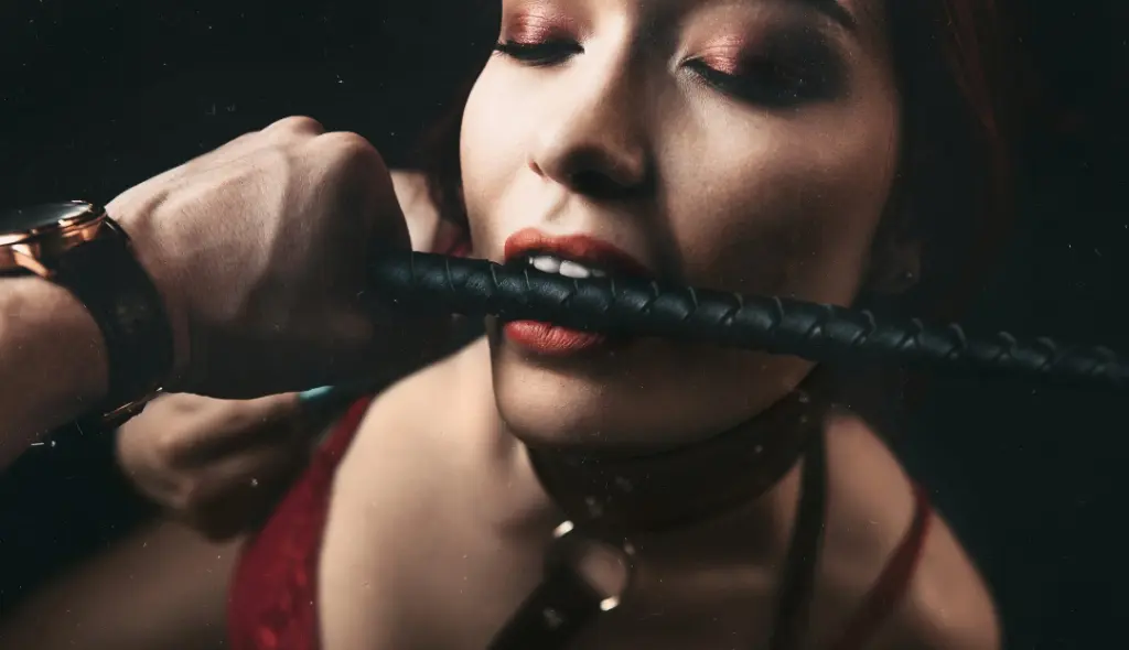What is BDSM